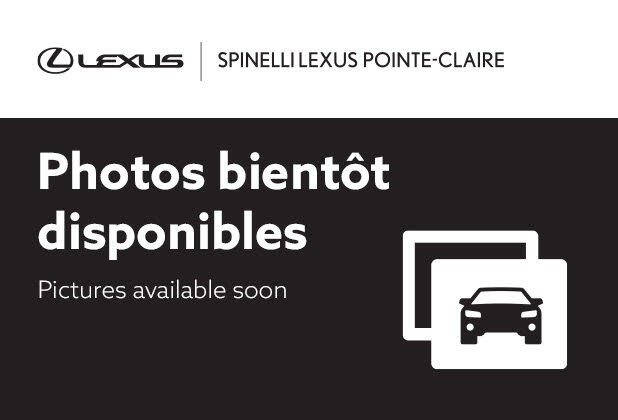 Lexus RX Hybrid 350h Premium AWD 2024