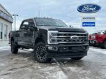 Ford F-250 Super Duty Platinum Crew Cab 4WD