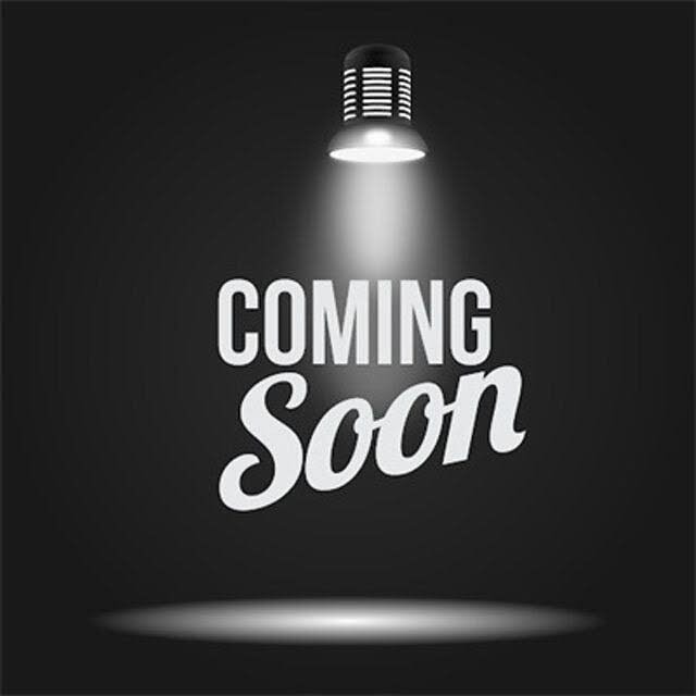 2024 RAM 3500 Chassis SLT Crew Cab LB 4WD