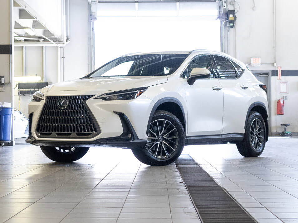 2025 Lexus NX 250 Signature AWD