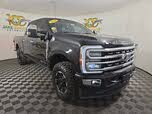 Ford F-250 Super Duty Platinum Crew Cab 4WD