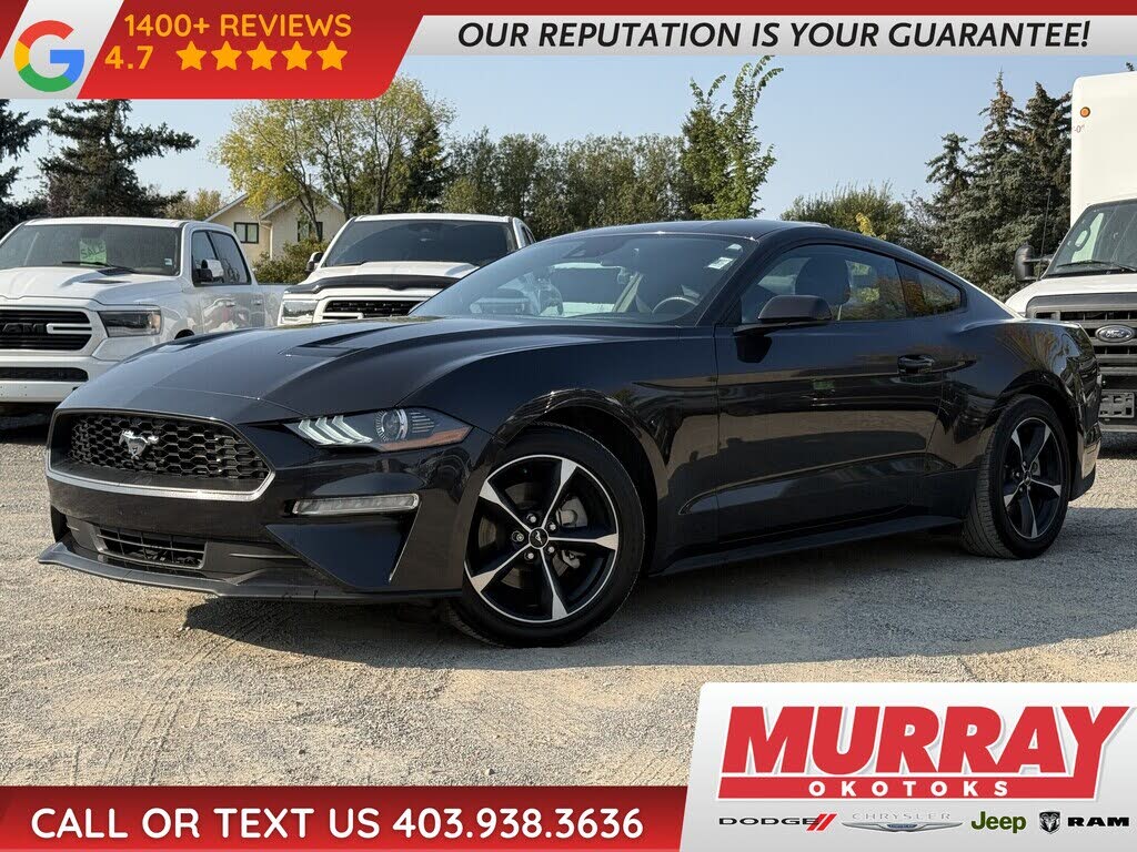 2023 Ford Mustang EcoBoost Fastback RWD