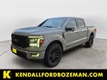 Ford F-150 Platinum SuperCrew 4WD
