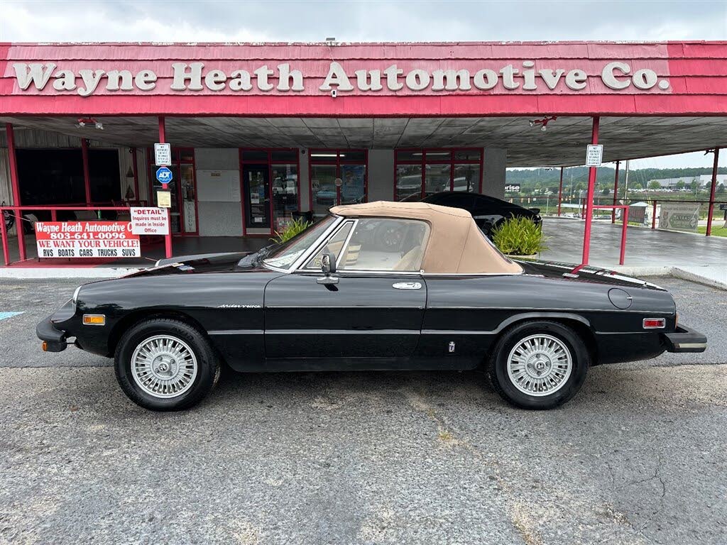 1981 Alfa Romeo Spider Veloce RWD