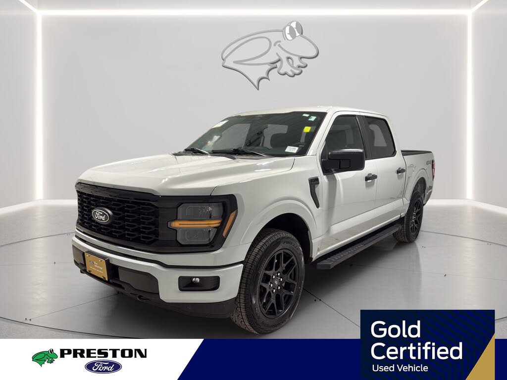 Avalanche Gray 2024 Ford F-150 Pickup Truck Four-Wheel Drive Automatic