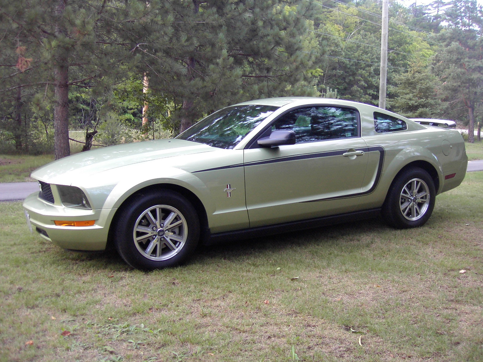 How much horsepower does a 2005 v6 ford mustang have #1