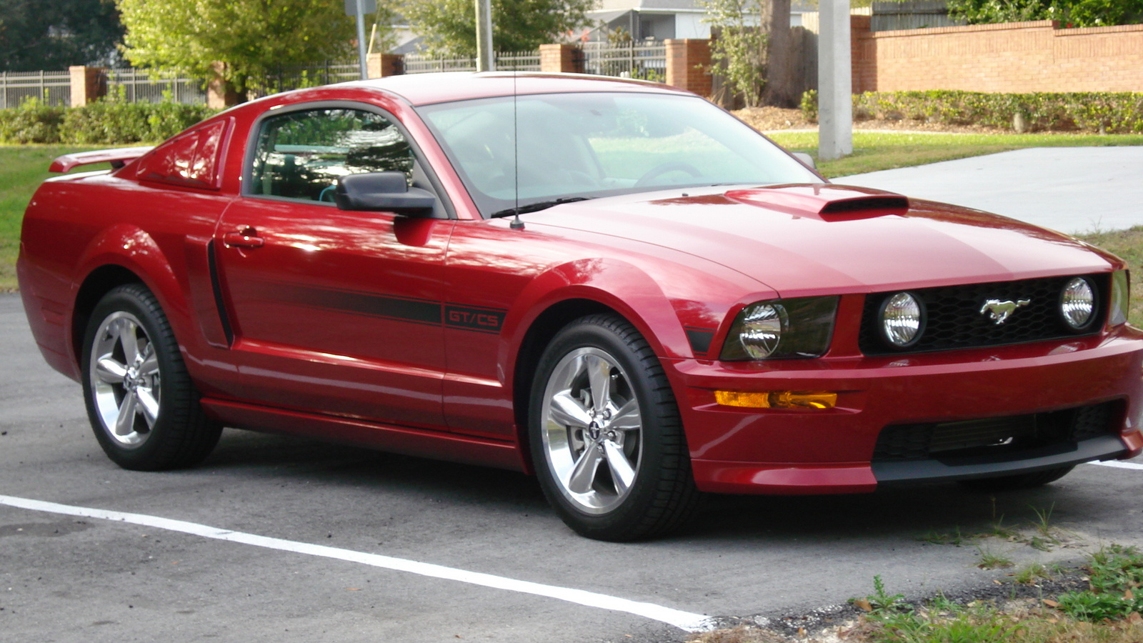 Picture of ford mustang 2007 #2