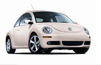 Beetle Beetle