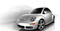 Beetle Beetle