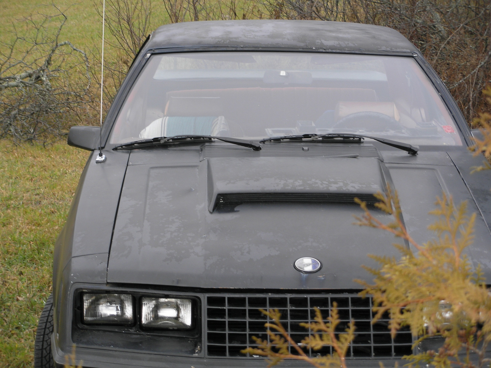 1979 Ford mustang hood #4