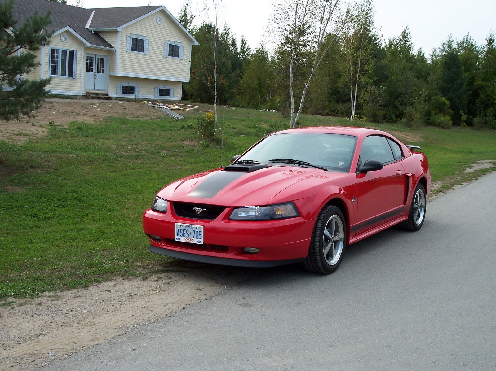 2003 Ford Mustang - Pictures - CarGurus