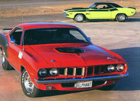 Barracuda Barracuda