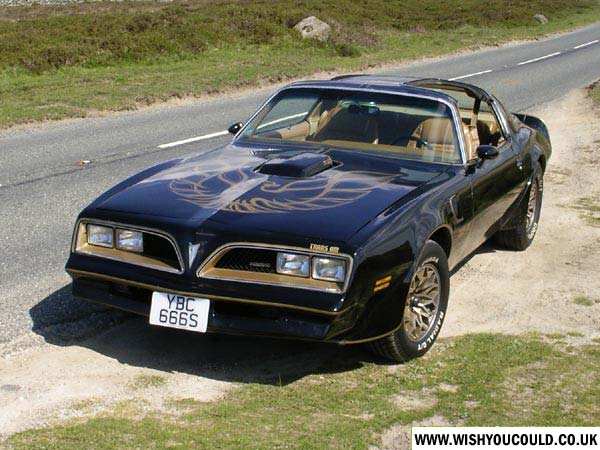 1977 Pontiac Trans Am Pictures