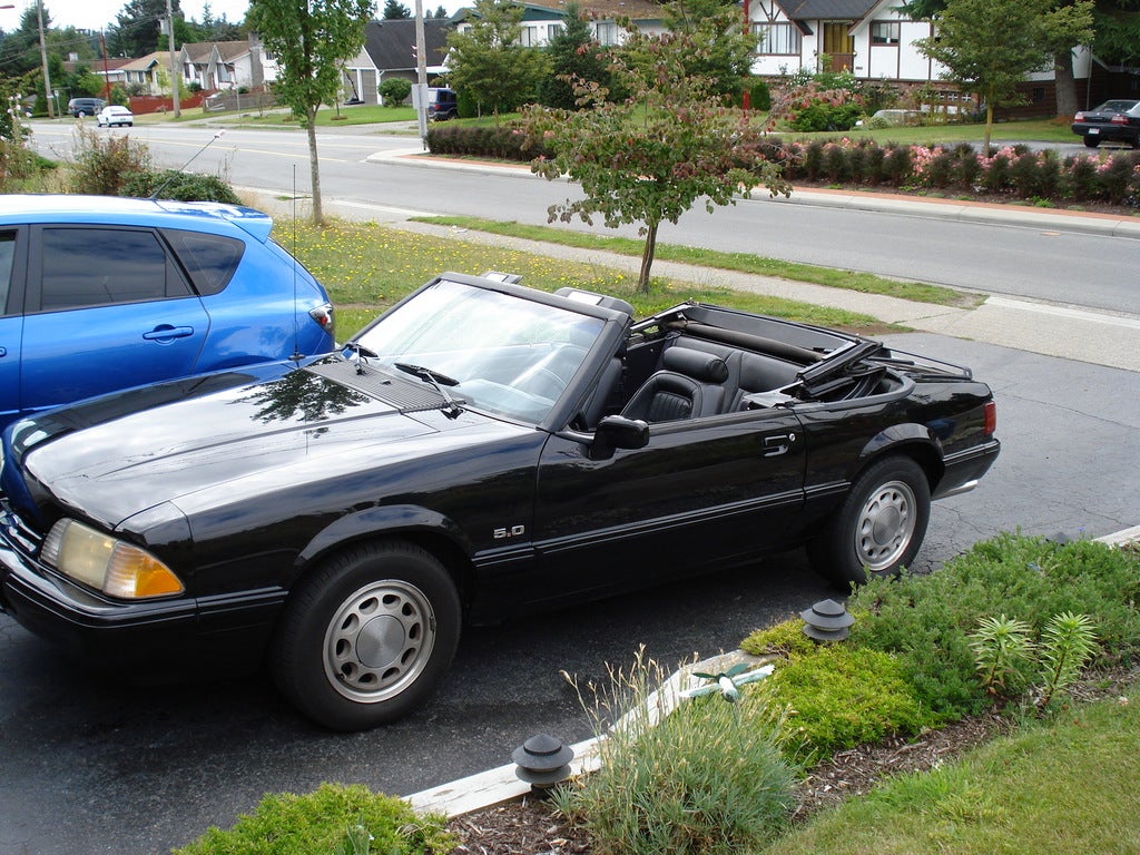 1989 Mustang Blue