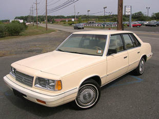 1990 Plymouth Sundance - Pictures - CarGurus