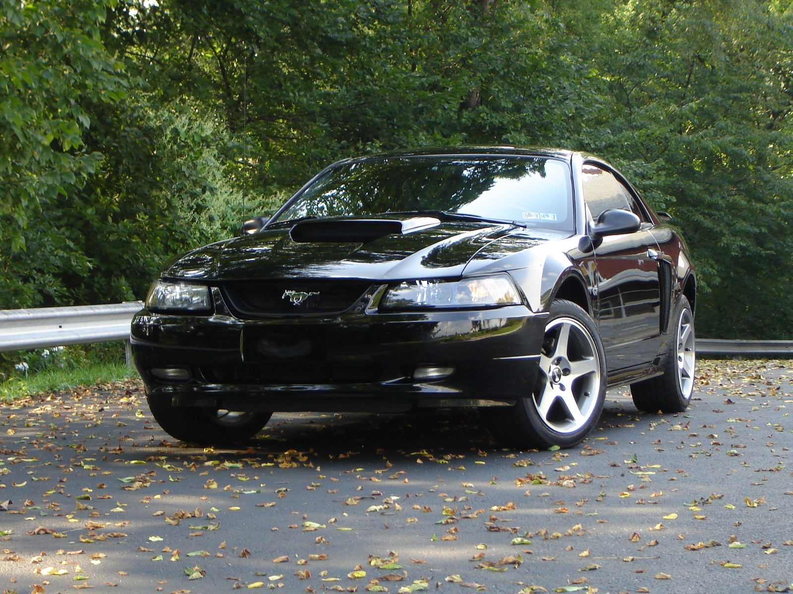 2001 Ford mustang gt coupe 2d #3