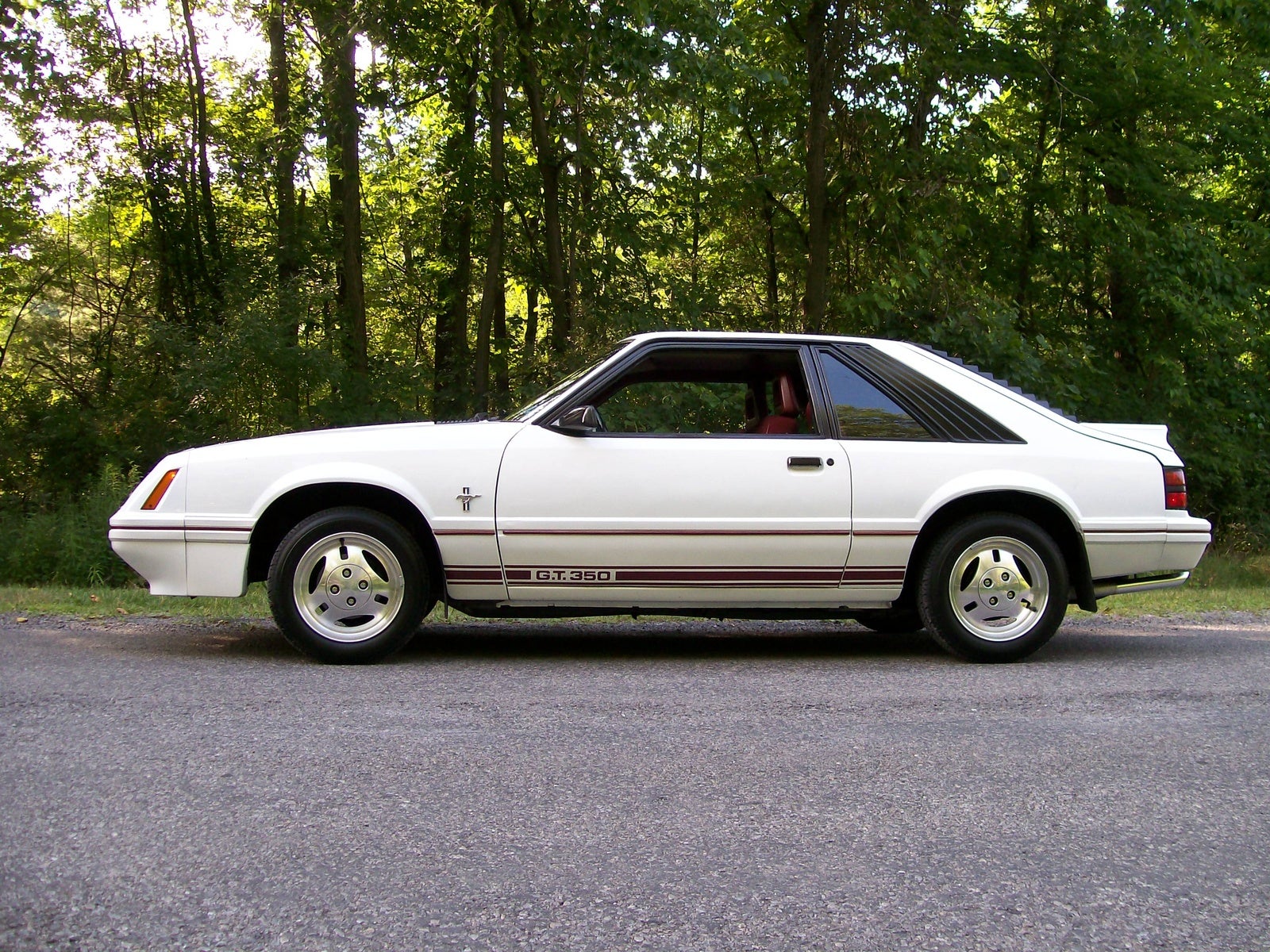 1984 Ford mustang gt350 value #10