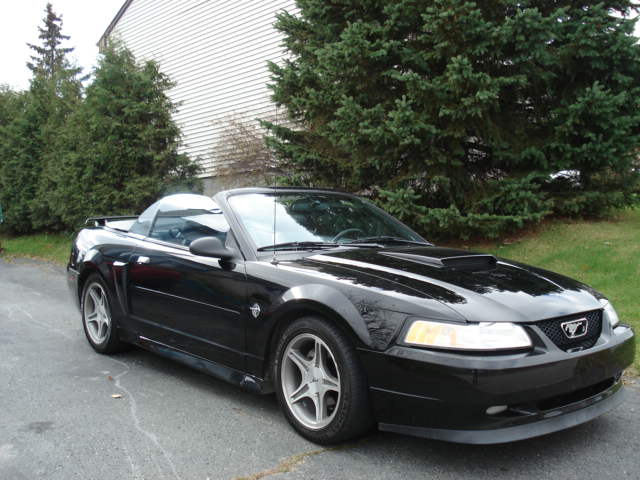 Average price 1999 ford mustang #3