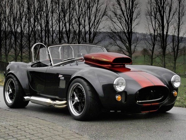 1961 Shelby Cobra - Other Pictures - CarGurus