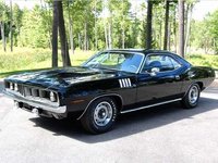Barracuda Barracuda