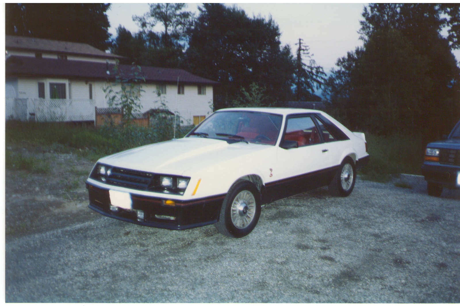1981 Ford mustang cobra for sale #8