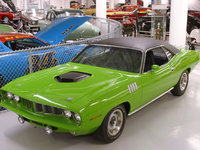 Barracuda Barracuda