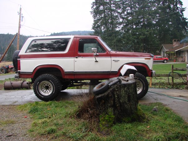 1984 Ford bronco specifications #10