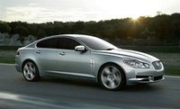 XF XF