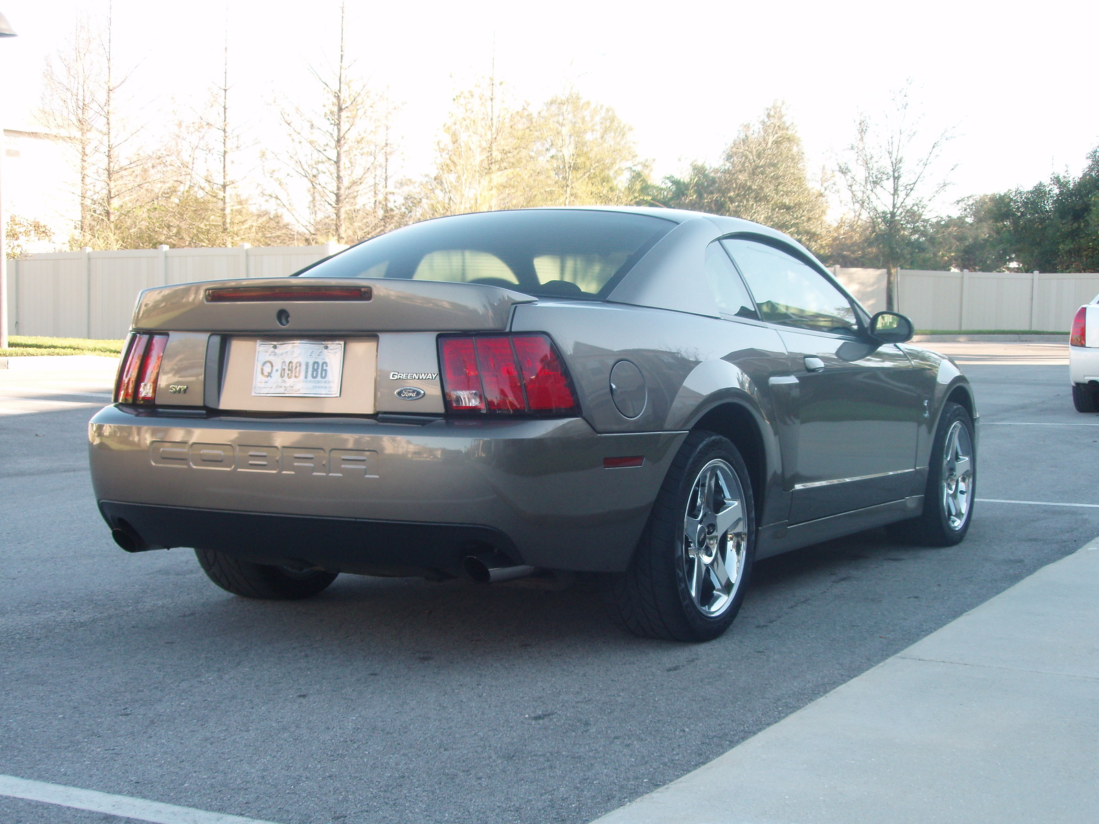 2003 Ford mustang svt cobra supercharged #3