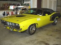 Barracuda Barracuda