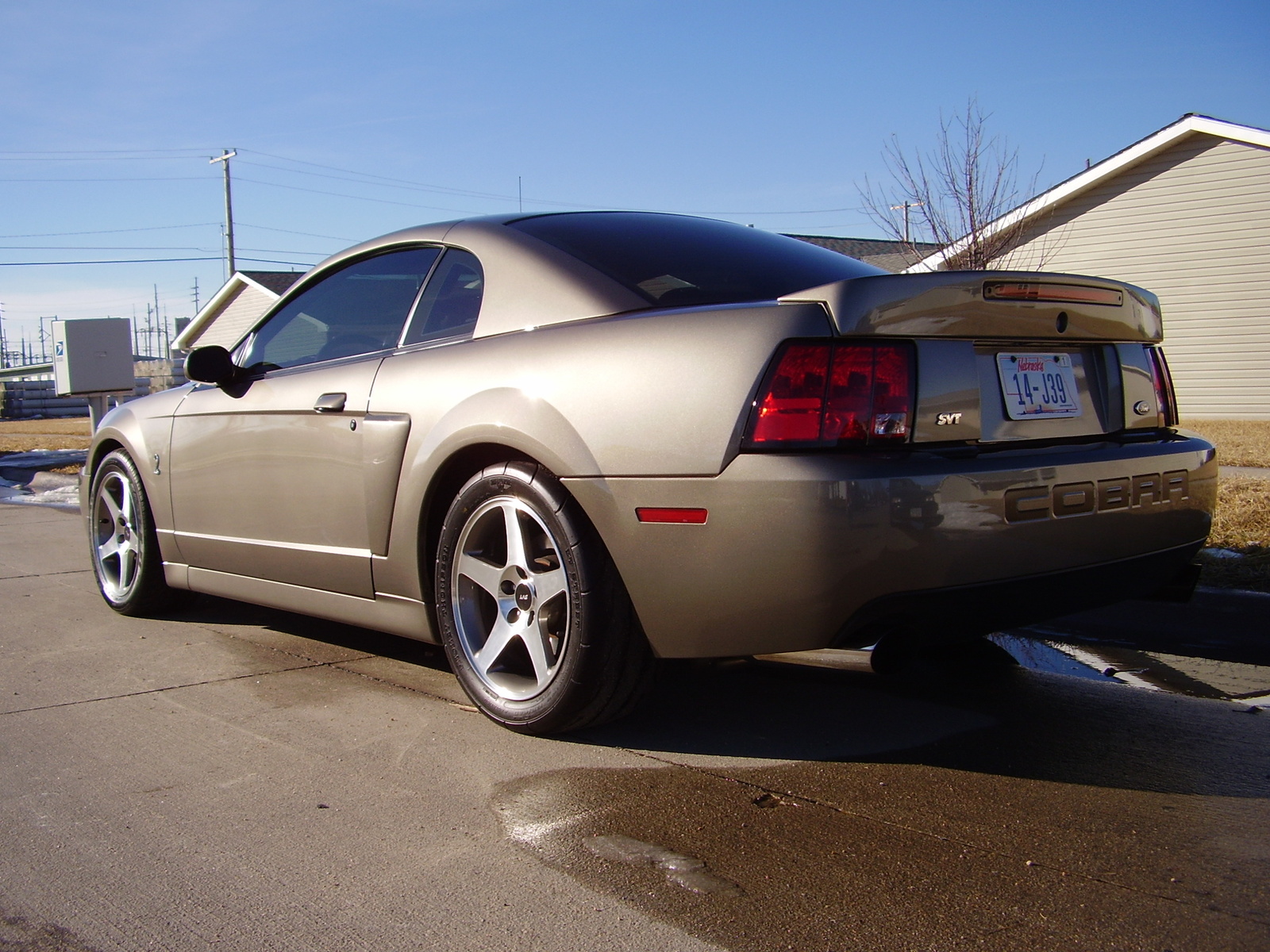Ford mustang svt cobra supercharged #9
