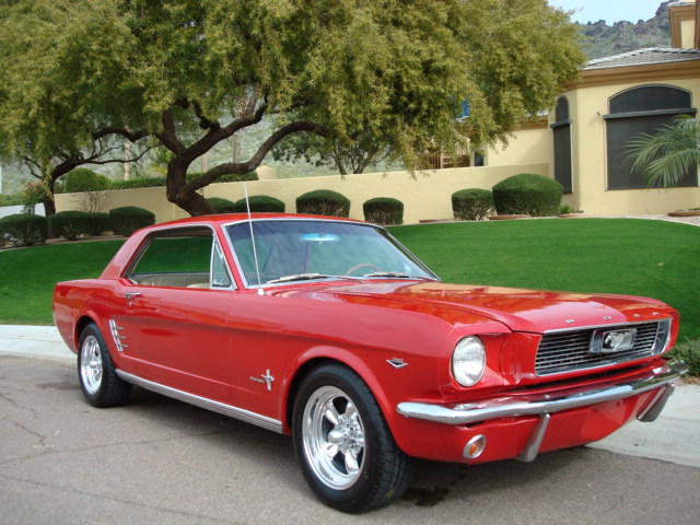 1964 Ford mustang sale canada #1