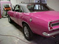 Barracuda Barracuda
