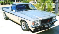 1977 Holden Sandman Overview