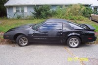 Firebird Firebird