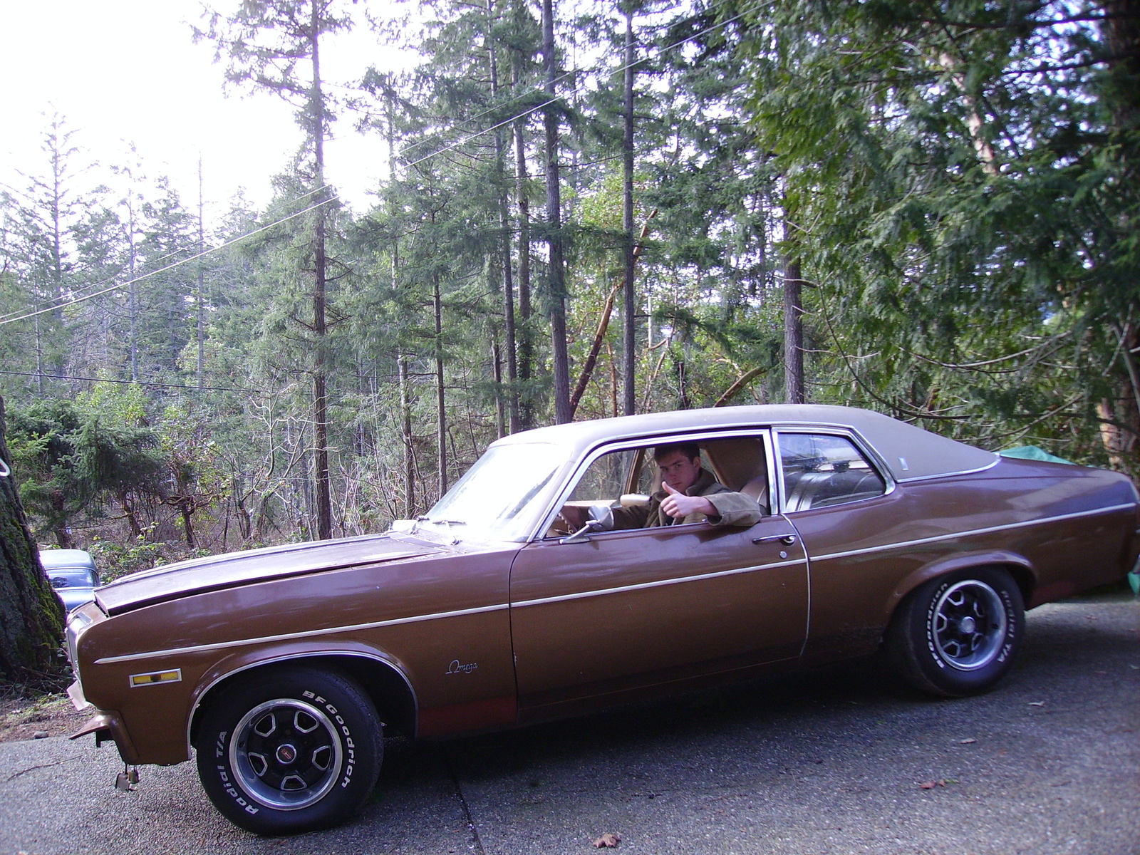 1974 Oldsmobile Omega Wiring Diagram