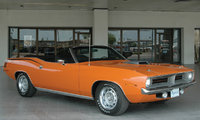 Barracuda Barracuda