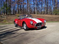 Cobra Cobra
