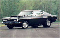 Barracuda Barracuda