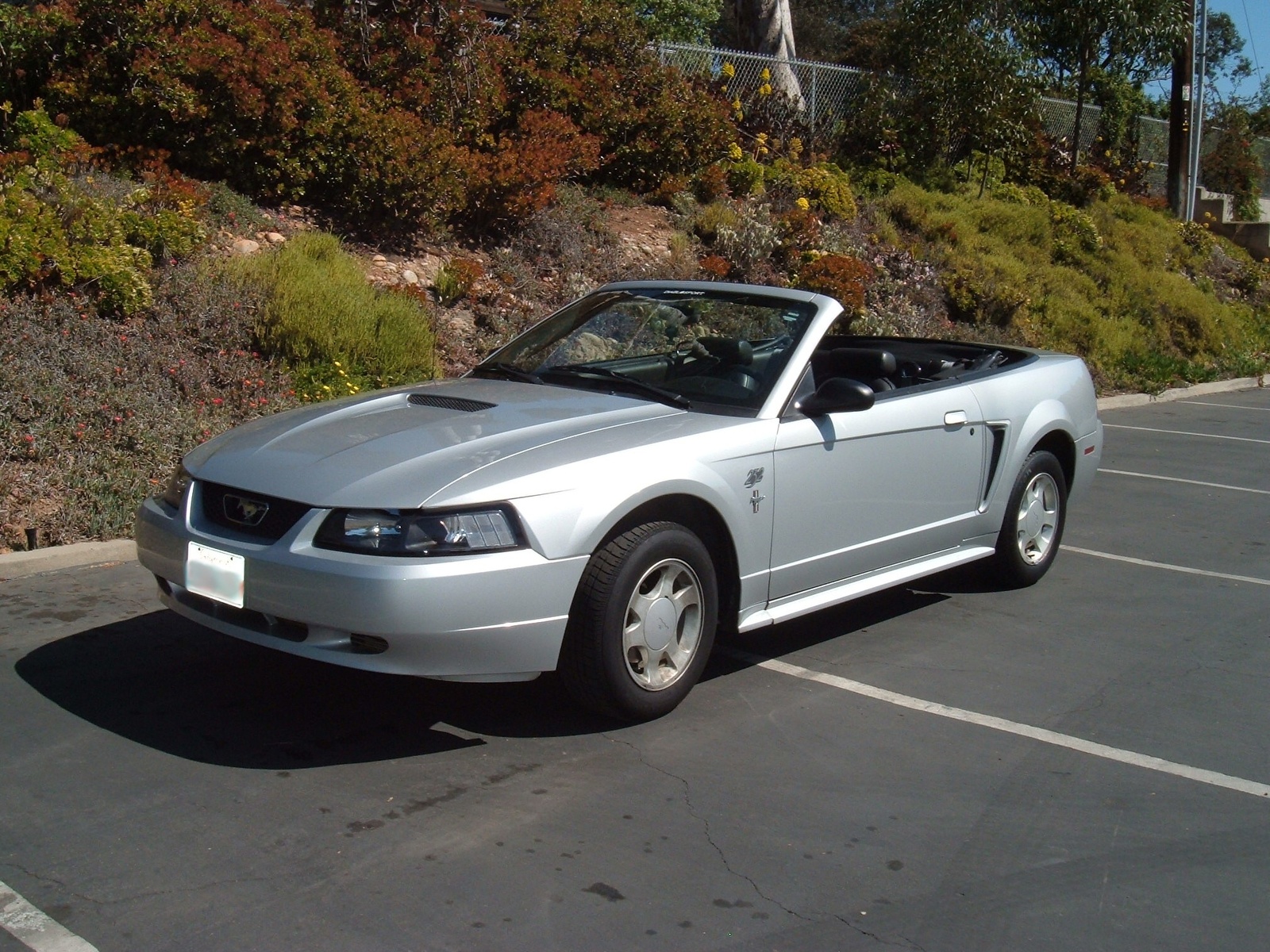 2000 Ford mustang base review #7