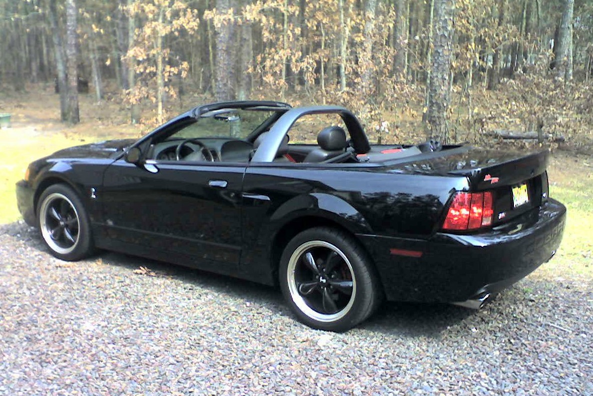 2004 Ford mustang cobra convertible #4