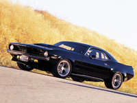 Barracuda Barracuda