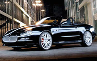 Spyder Spyder