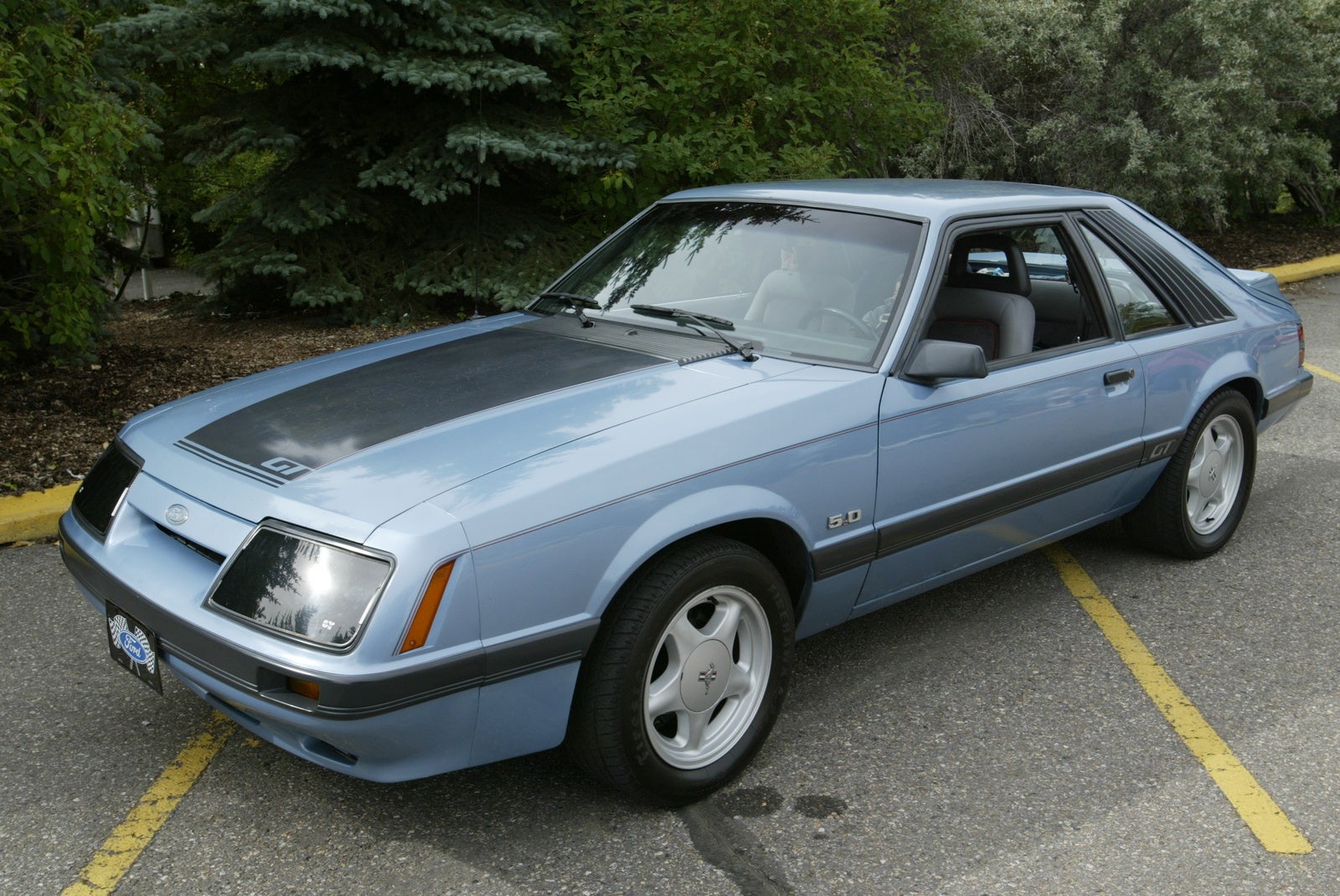 Ford 1985 et votre
