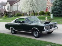 Barracuda Barracuda