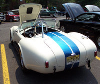 Cobra Cobra