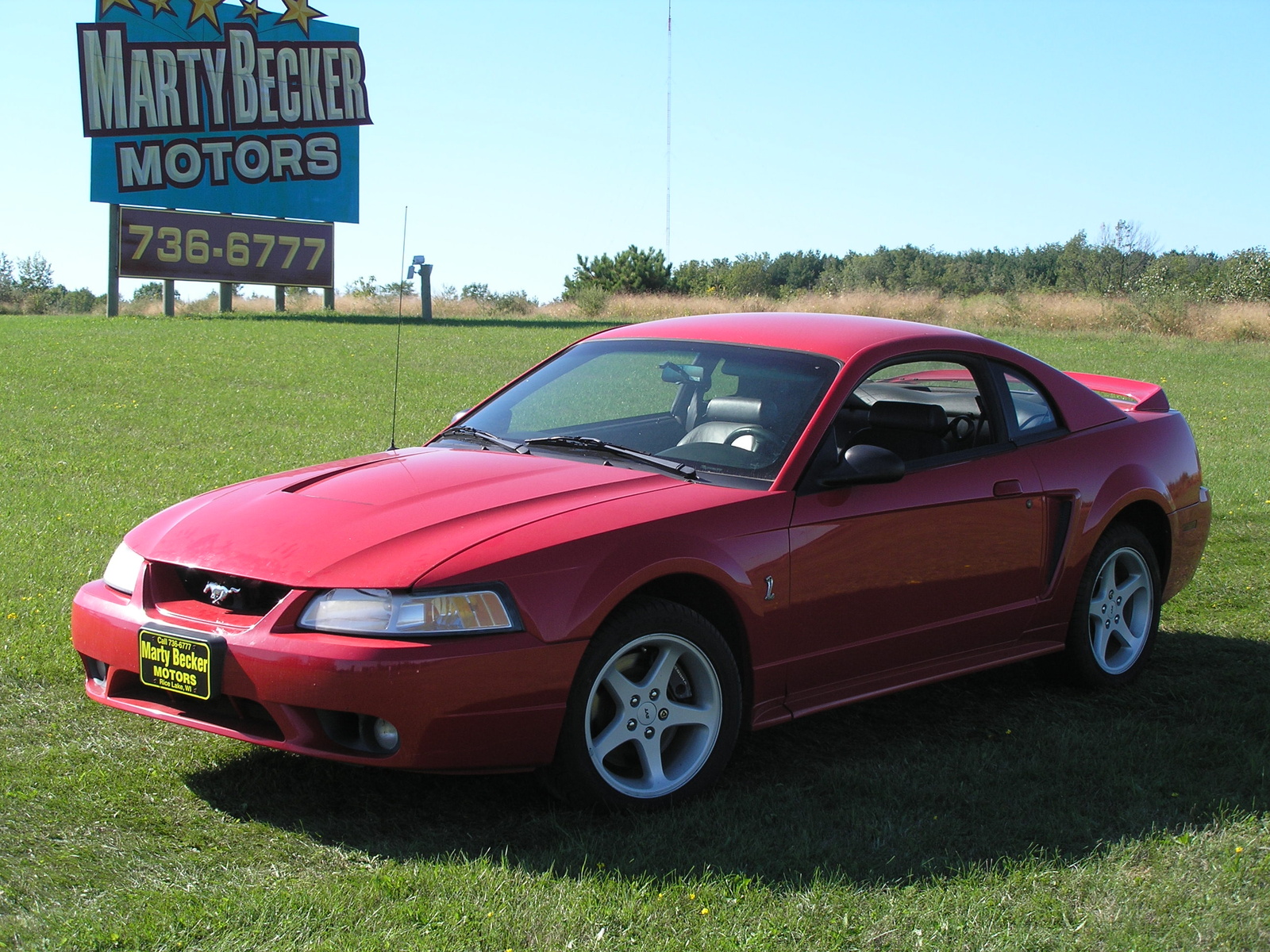 1999 Ford mustang coupe/pictures #1