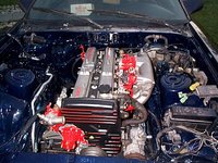 Supra Supra