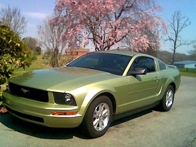 Are 2006 ford mustangs good cars #4