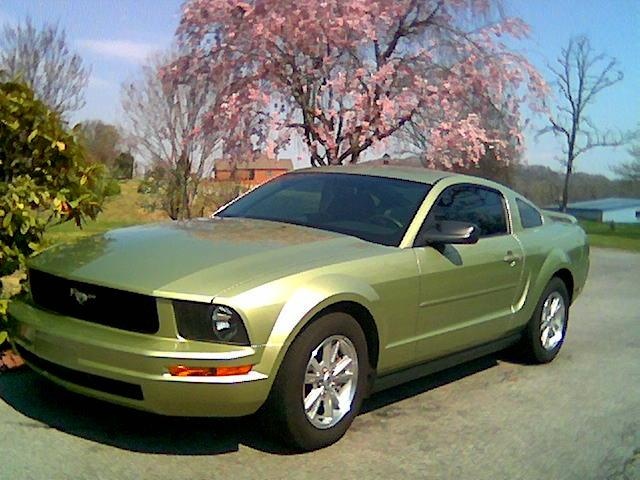 2006 Ford mustang v6 premium mpg #3